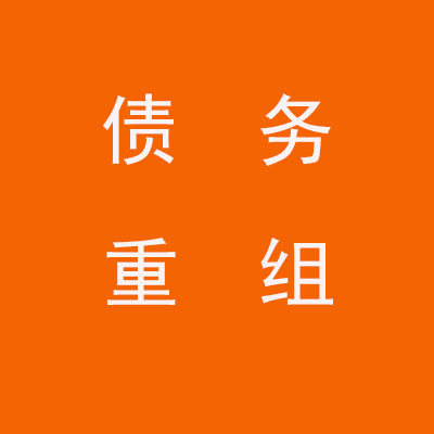 玄武个人债务重组优化